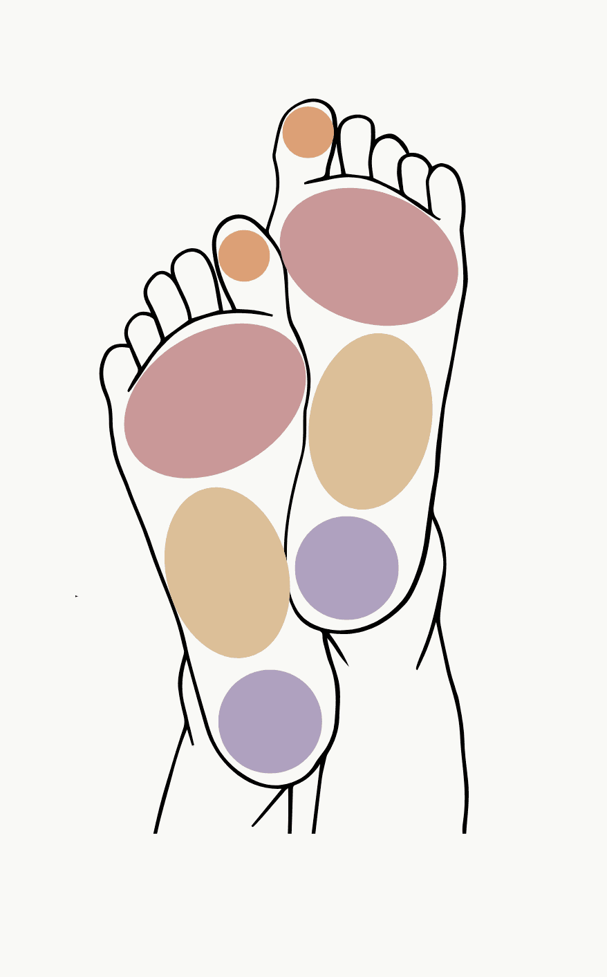 Carte des zones réflexes du pied — les couleurs indiquent les différentes zones du corps